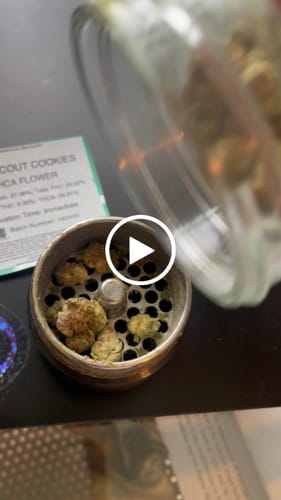 Customer video review of Girl Scout Cookies (Indoor Smalls) - THCA Flower