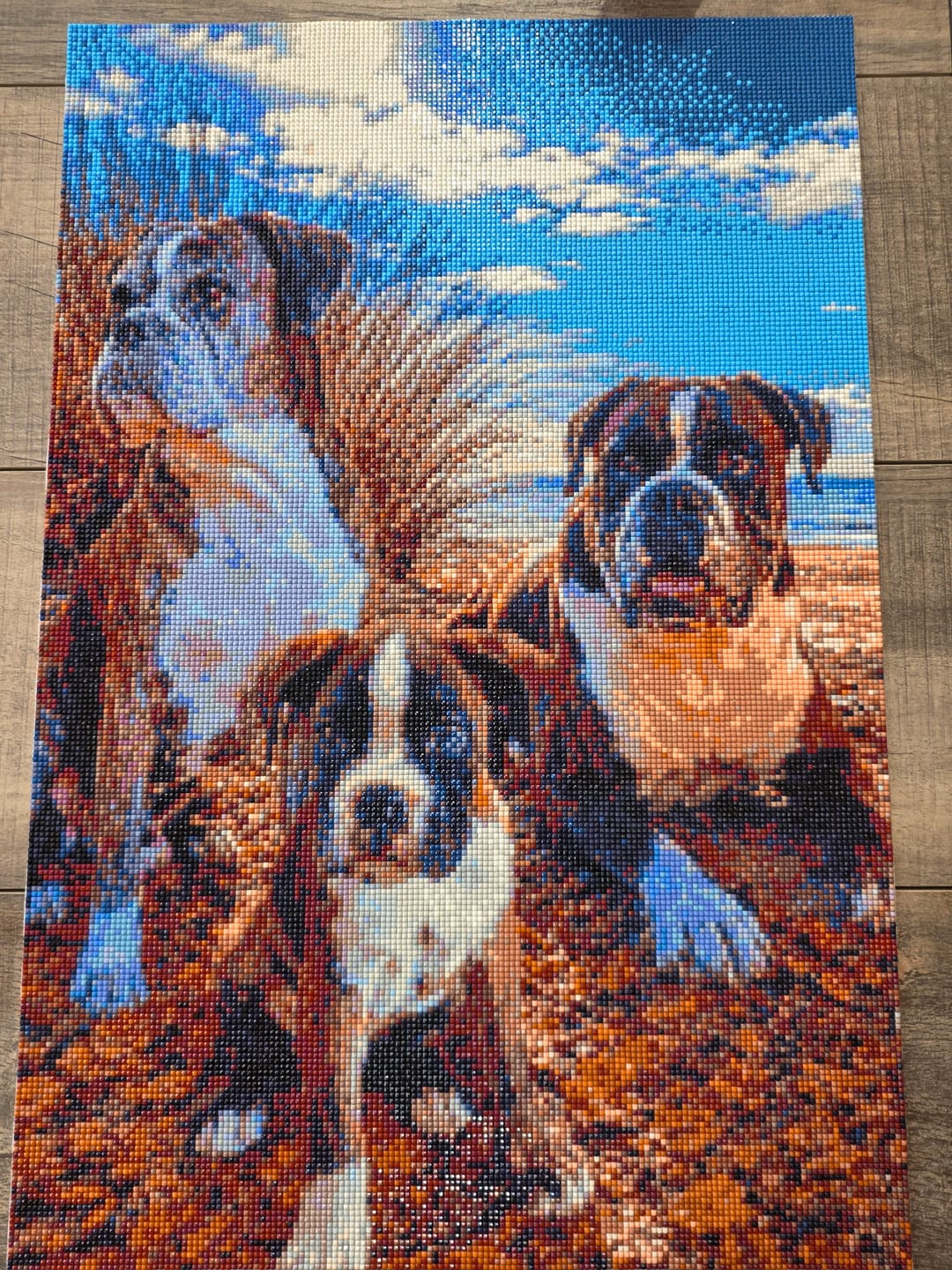 Customer photo review of Eigen Foto Diamond Painting