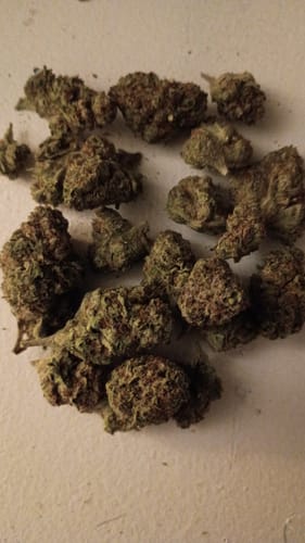Ice Cream Cake - Bulk - Indica photo review