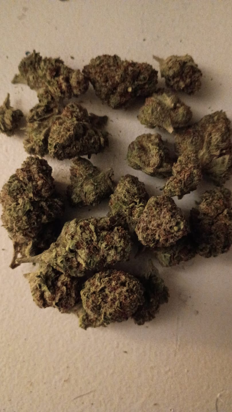 Customer photo review of Ice Cream Cake - Bulk - Indica