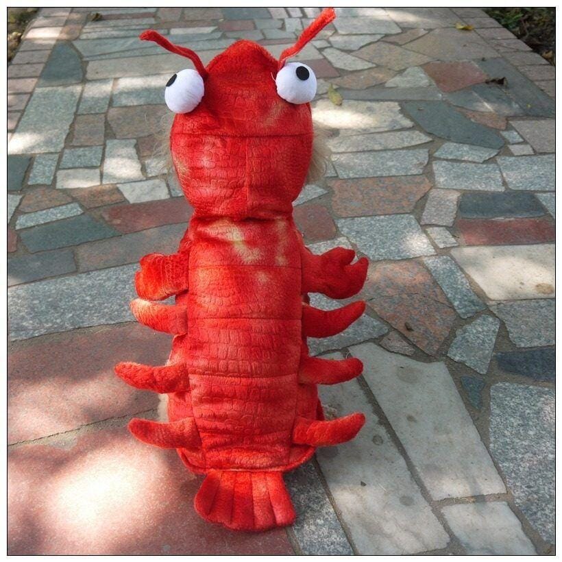 Customer photo review of Lobster Costume