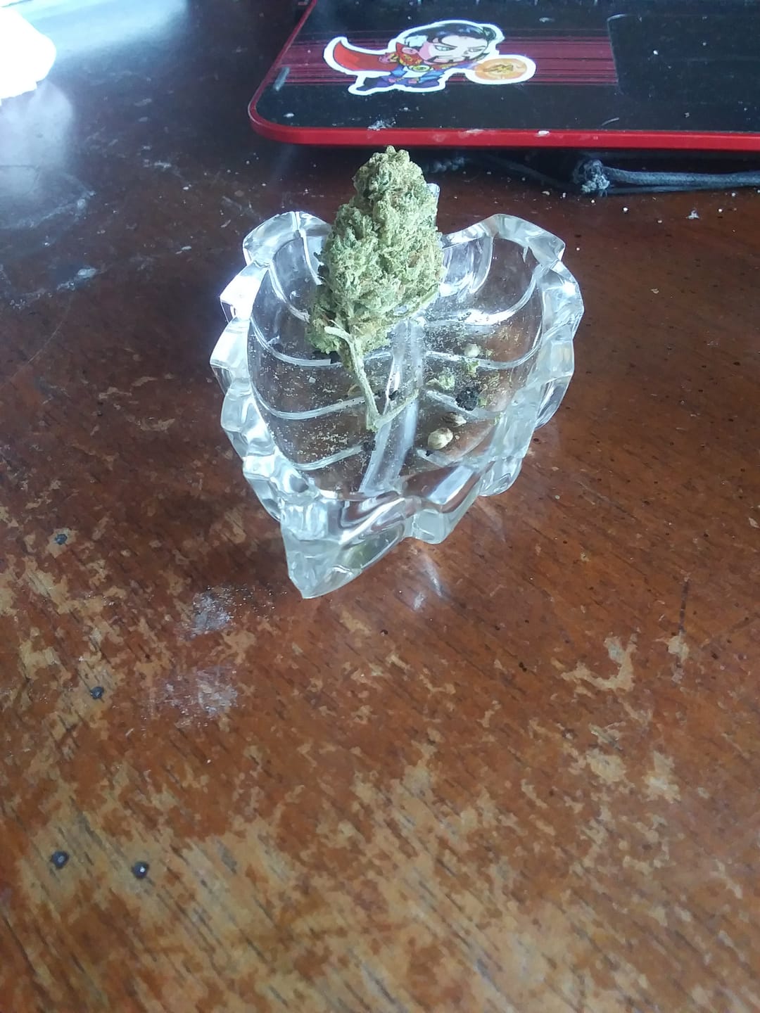 Customer photo review of Oakland Runtz - 28 Grams - Indica
