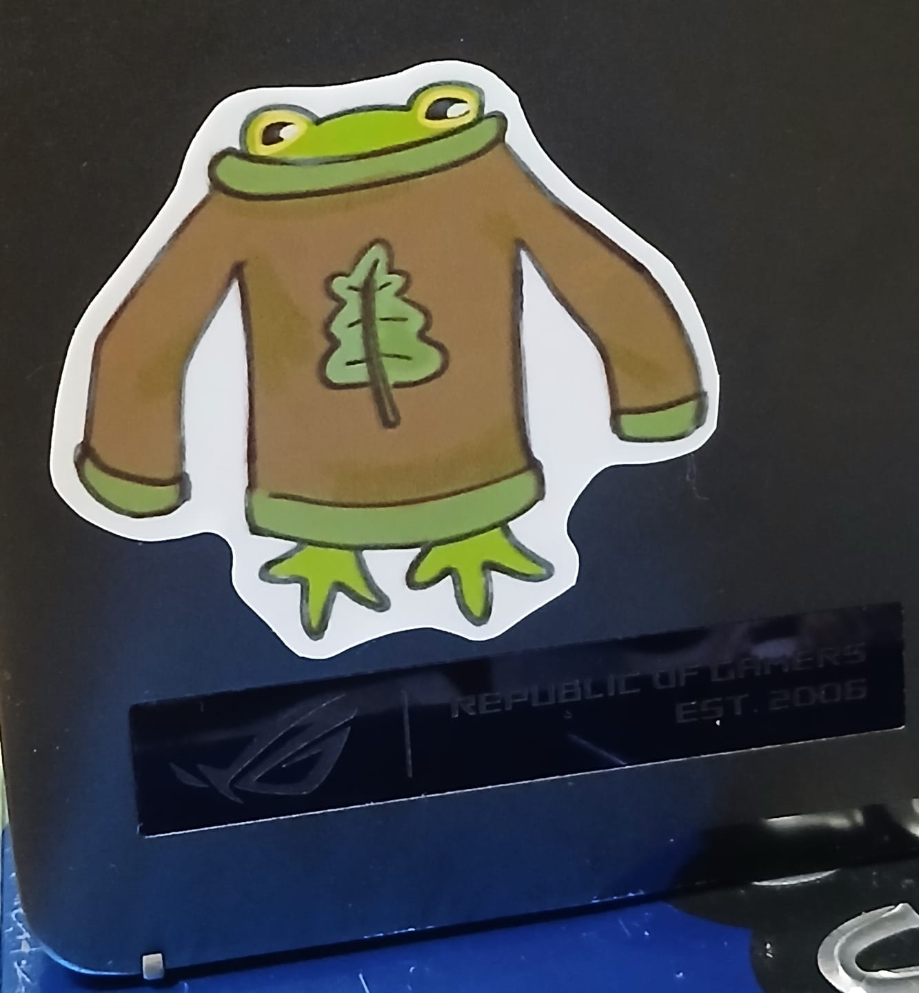 Customer photo review of Frog in Oversized Sweater Sticker