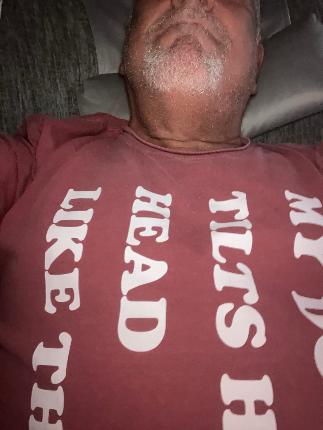 Customer photo review of My Dog Tilts His Head Premium Tee
