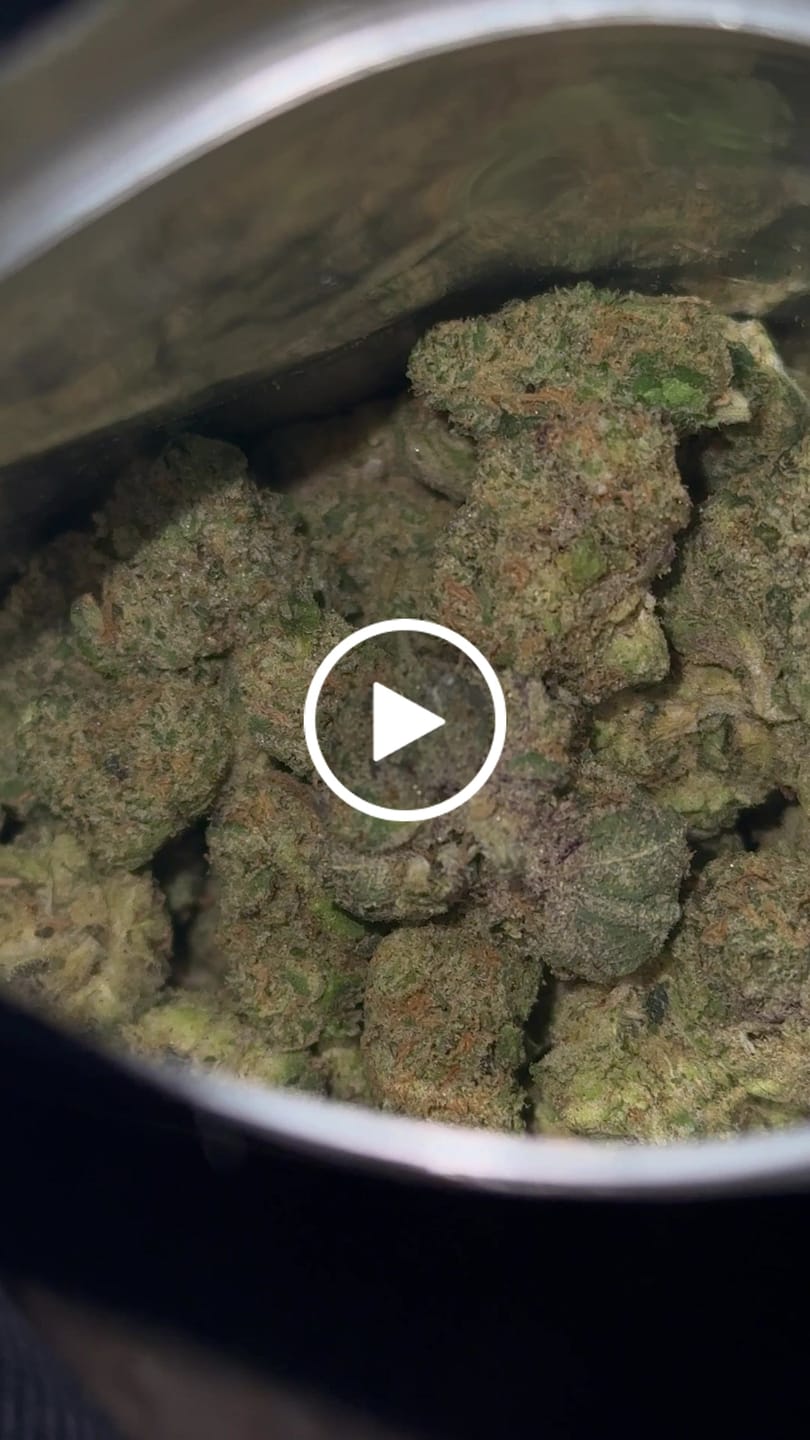 Customer video review of Biscotti THCA Flower (Budget)