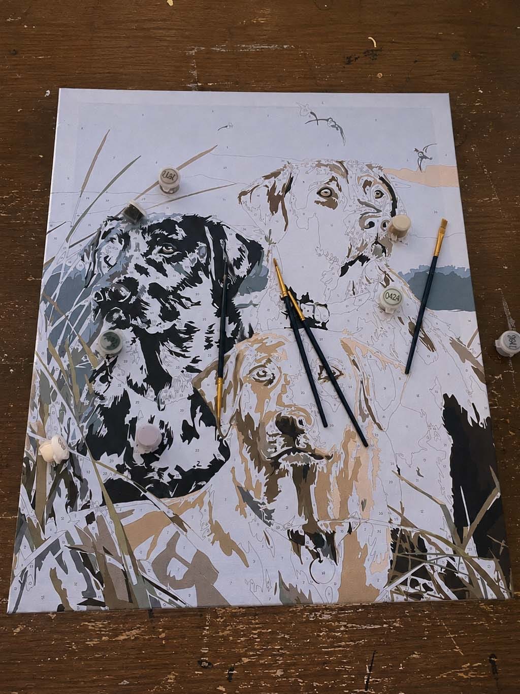 Customer photo review of Trio de Labrador