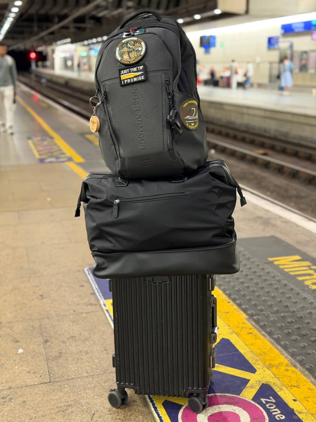 Customer photo review of Weekender Dust Cover