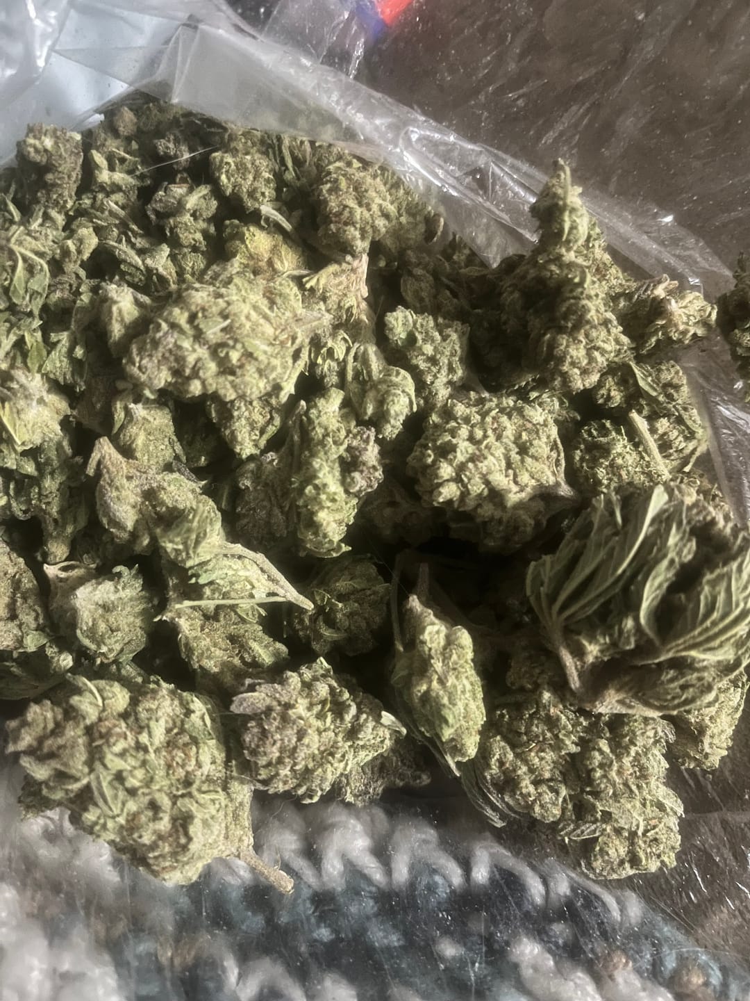 Customer photo review of Platinum Berry - Bulk - Hybrid