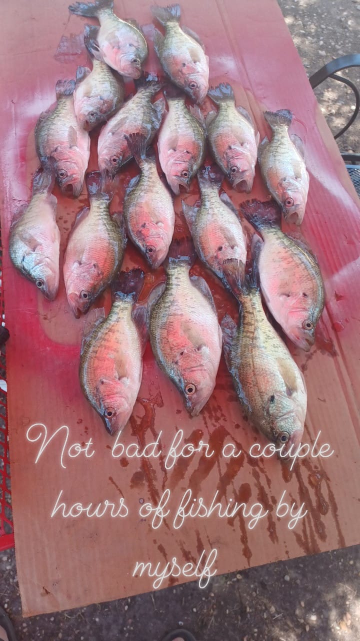 Customer photo review of Boat Flip Blue