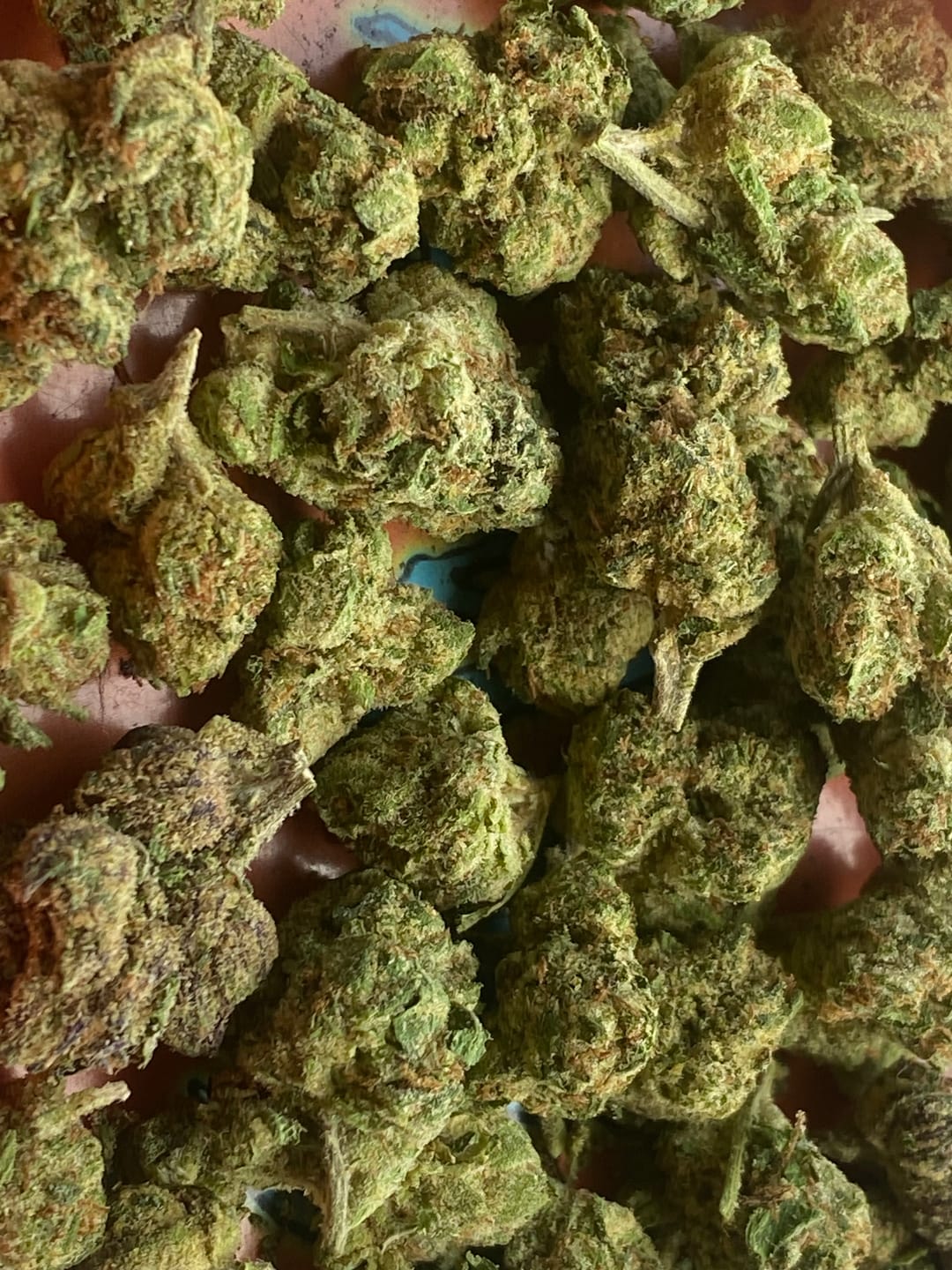 Customer photo review of Speaker Knockers Indoor THCA Mediums