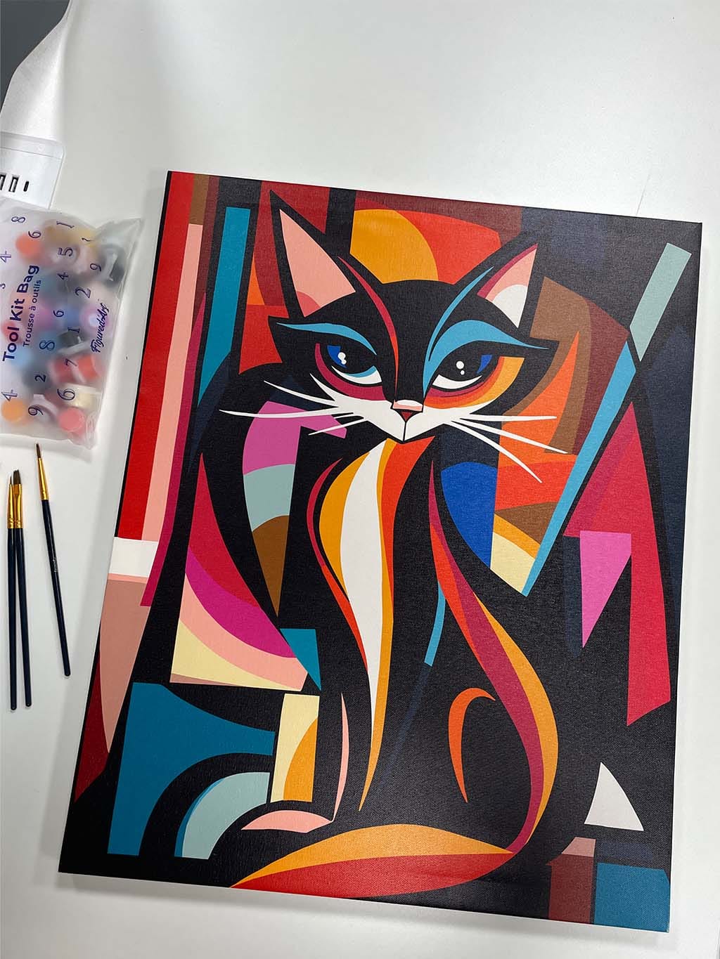 Customer photo review of Chat Abstrait Éclatant