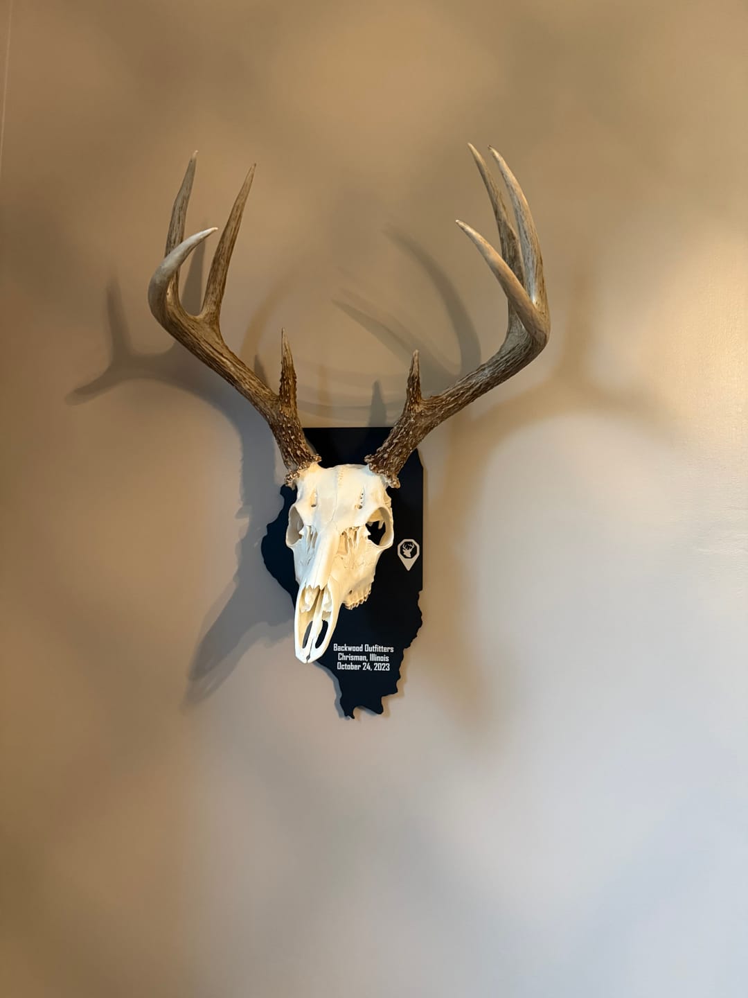 Customer photo review of Medium Game Plaque - Selections