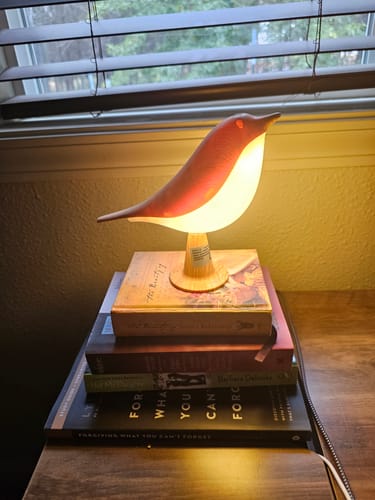Customer's Glow Bird lamp glowing with warm light, placed on a stack of books by a window.