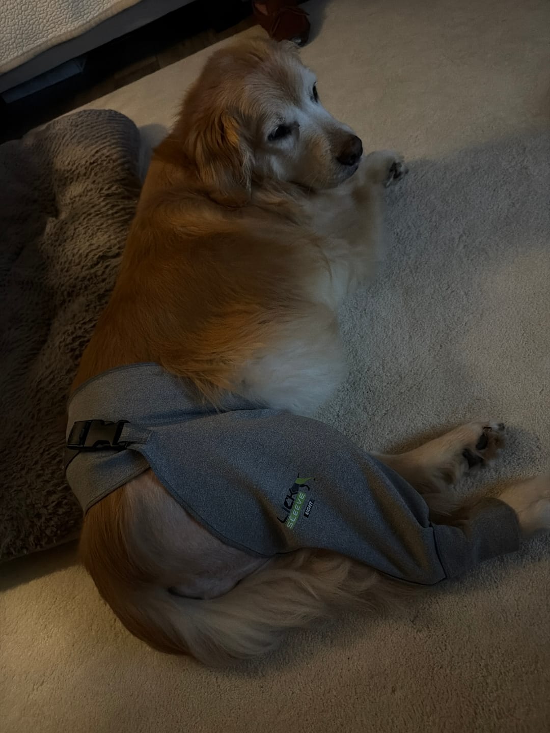 Customer photo review of Lick Sleeve® Leg Sleeve