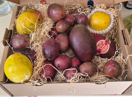 Customer's Mango × Maracuja Erlebnisbox filled with fresh mangos and passion fruits nestled in protective straw.