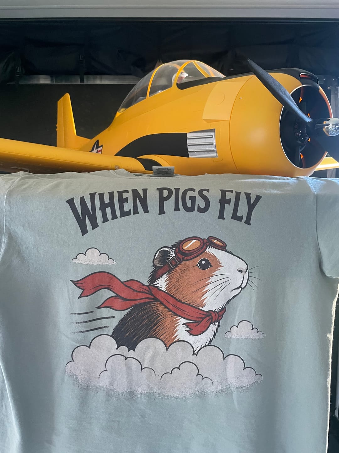 Customer photo review of Cavy Aviator T-shirt