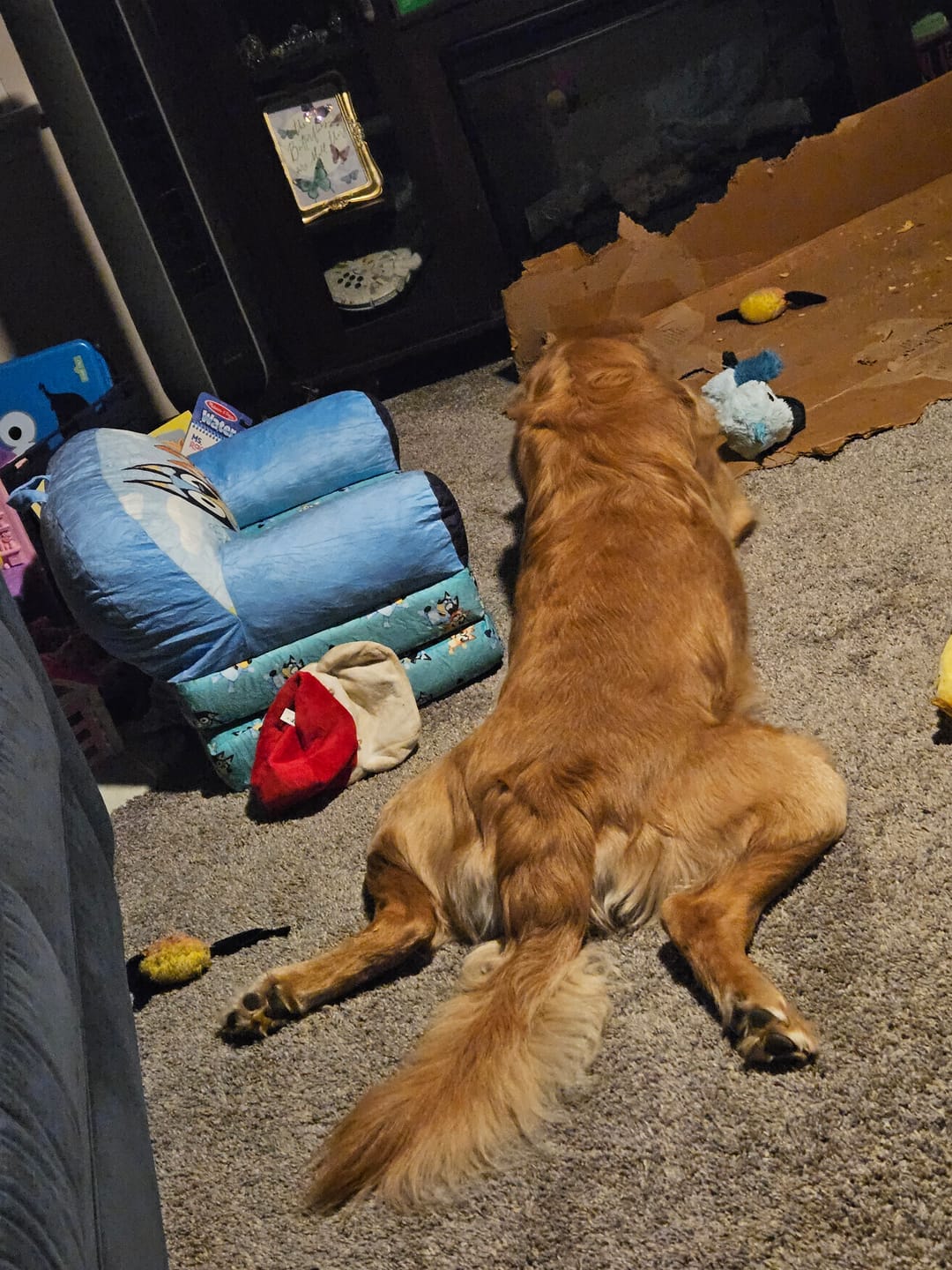 Customer photo review of Blueberry Yak Chew — Antioxidants, Vitamins C & K, Heart Health