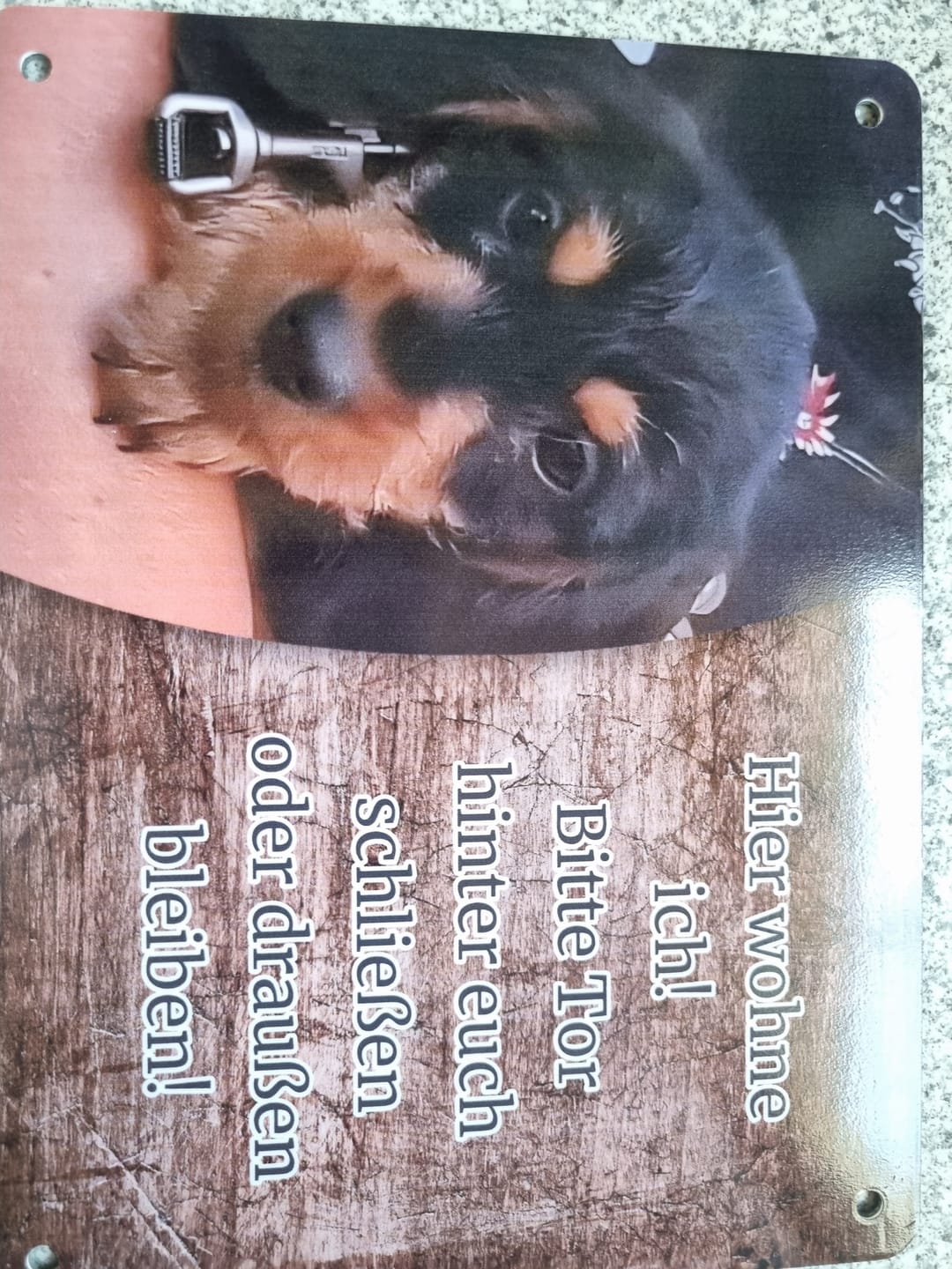 Customer photo review of Hunde-Türschild personalisiert mit Foto & Text (UV- und wetterfest)