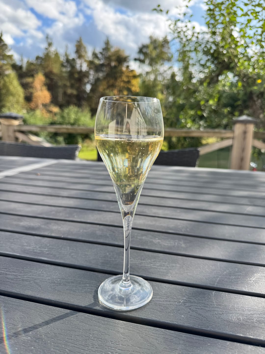 Customer photo review of Stiernholm Bubbles champagneglas 16 cl 6-pack klar