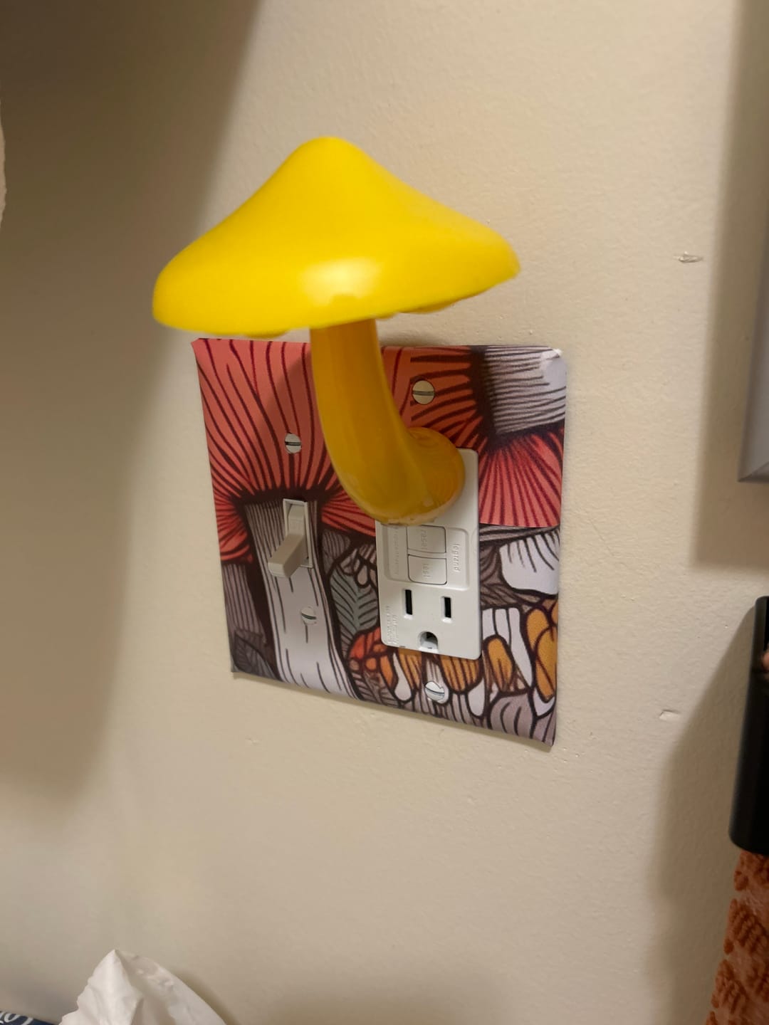 Customer photo review of Mushroom Night Light