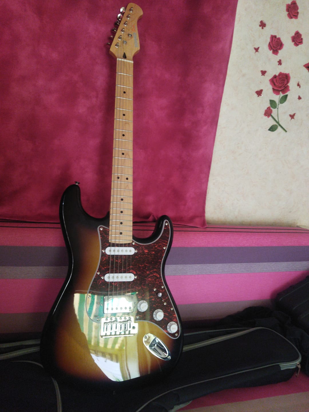 Customer photo review of Donner DST-152 Guitare Électrique avec Ampli et Housse