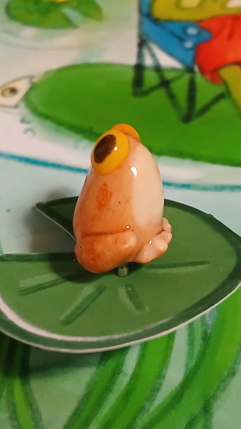 Customer photo review of green Frog and brown Toad Pin