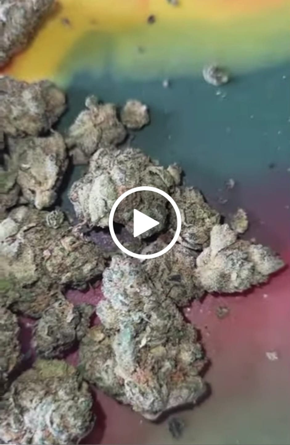 Customer video review of Bulk Indoor Smalls