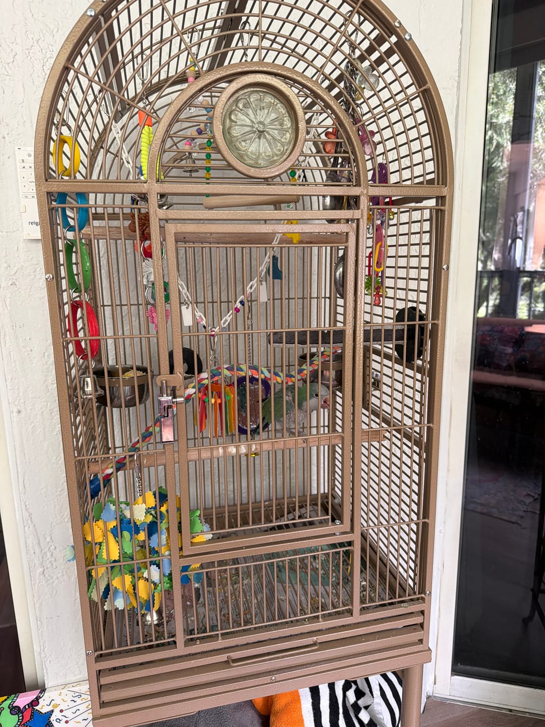 Customer photo review of Kings Cages Coppertone SLUX 1816 Bird Cage 18X16X57
