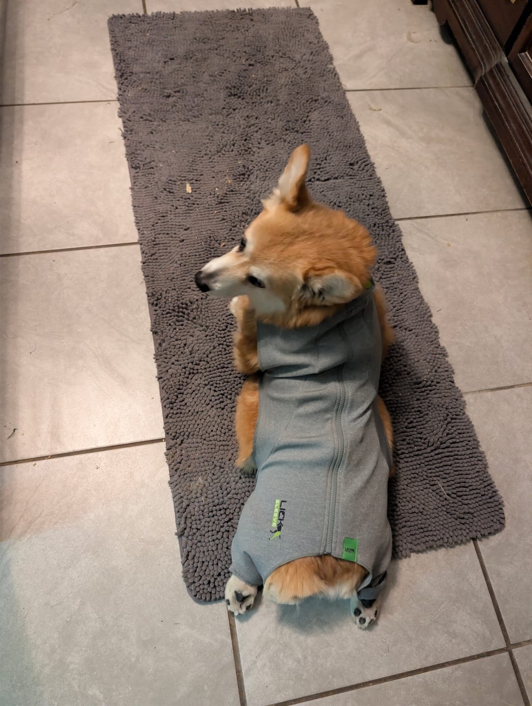 Customer photo review of Lick Sleeve® Rear Bilateral Suit