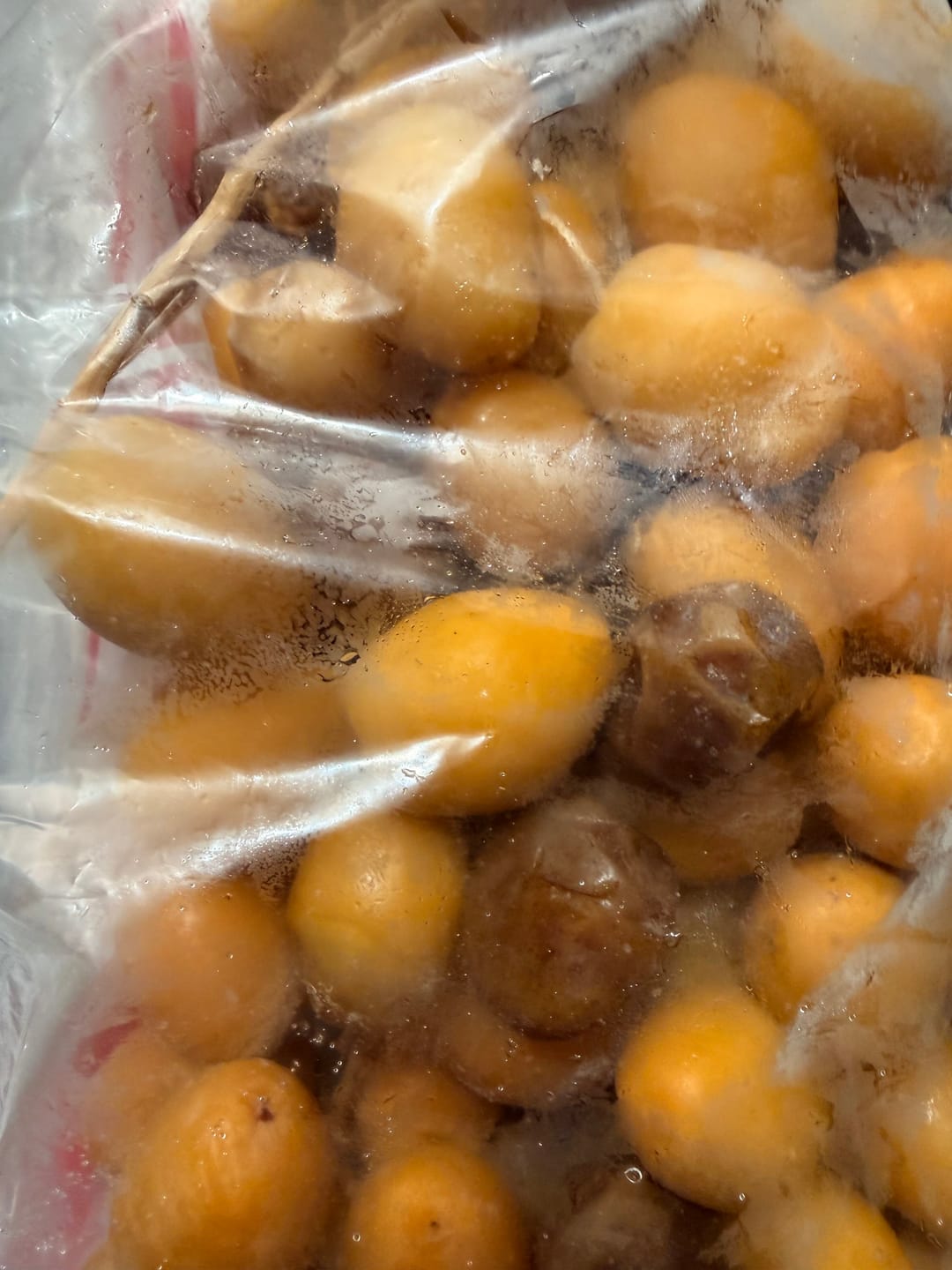 Customer photo review of Organic Yellow Barhi Dates (Khalal Barhi Dates)