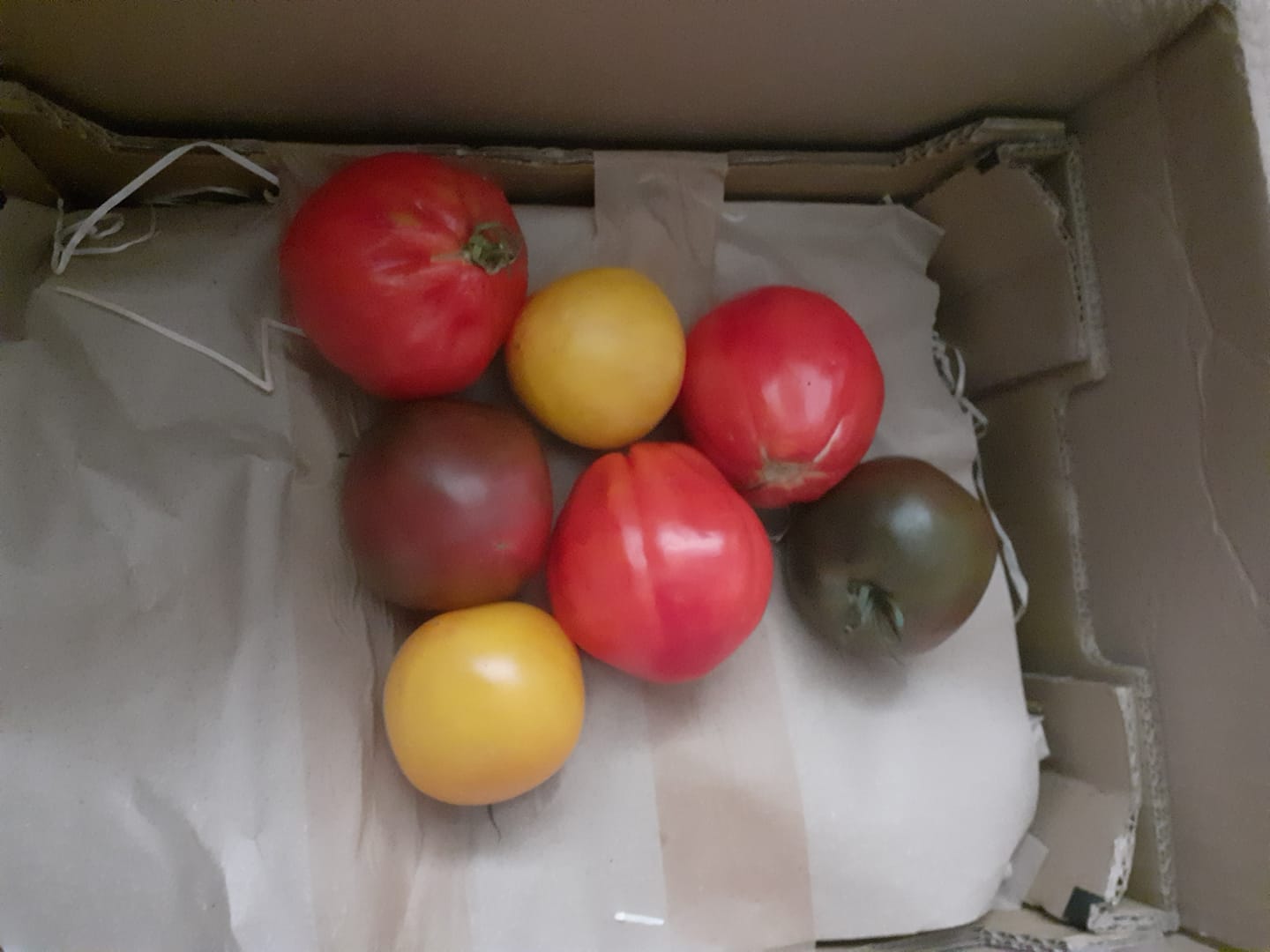 Customer photo review of Ochsenherzen Mix Bio regional