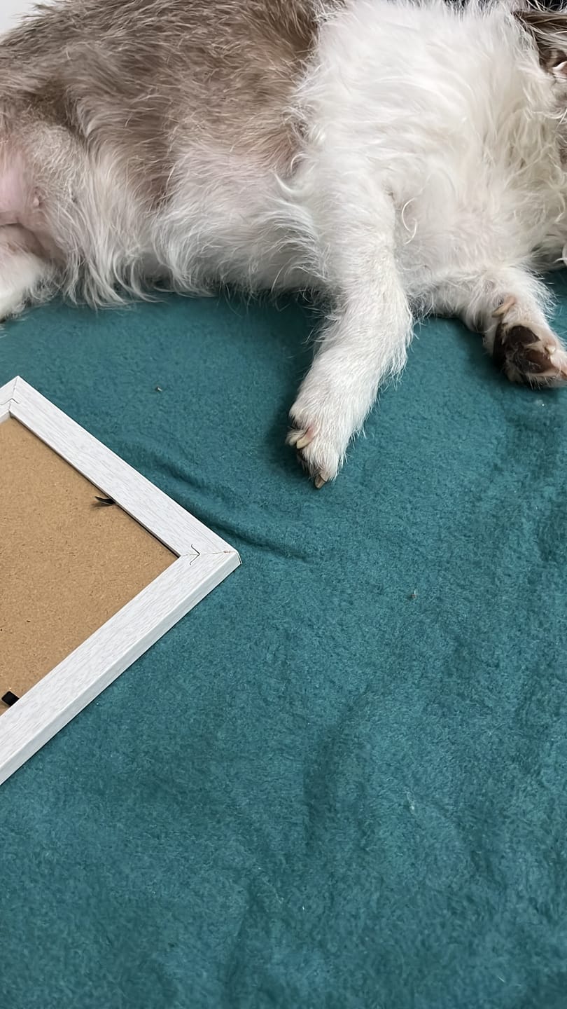 Customer photo review of Cuadro Huella Eterna