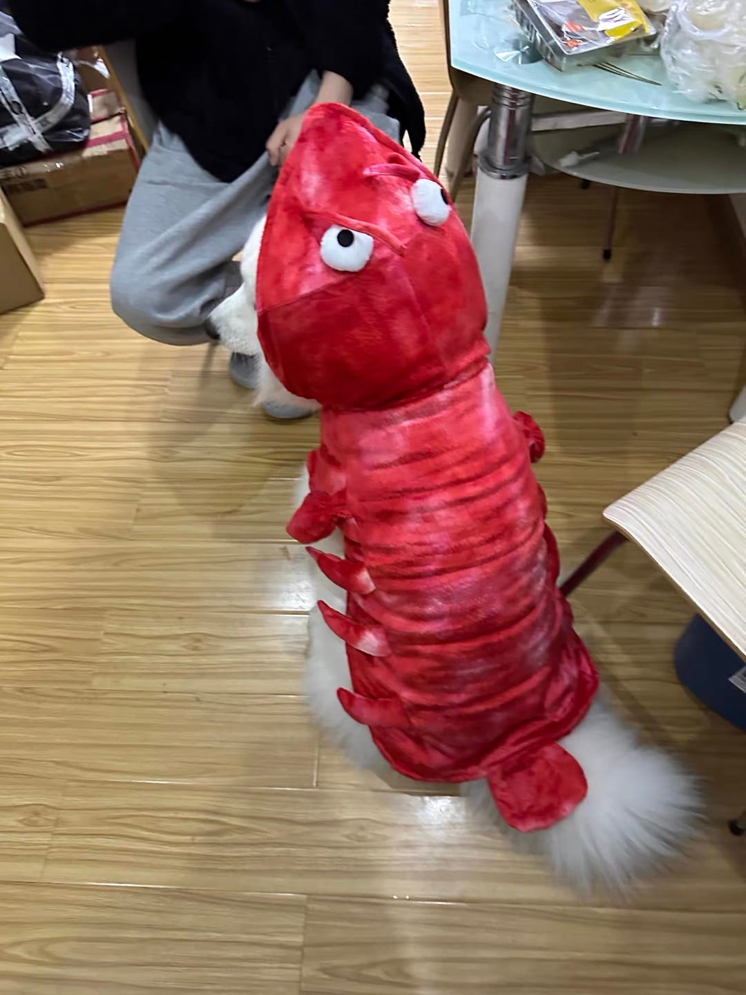 Customer photo review of Lobster Costume