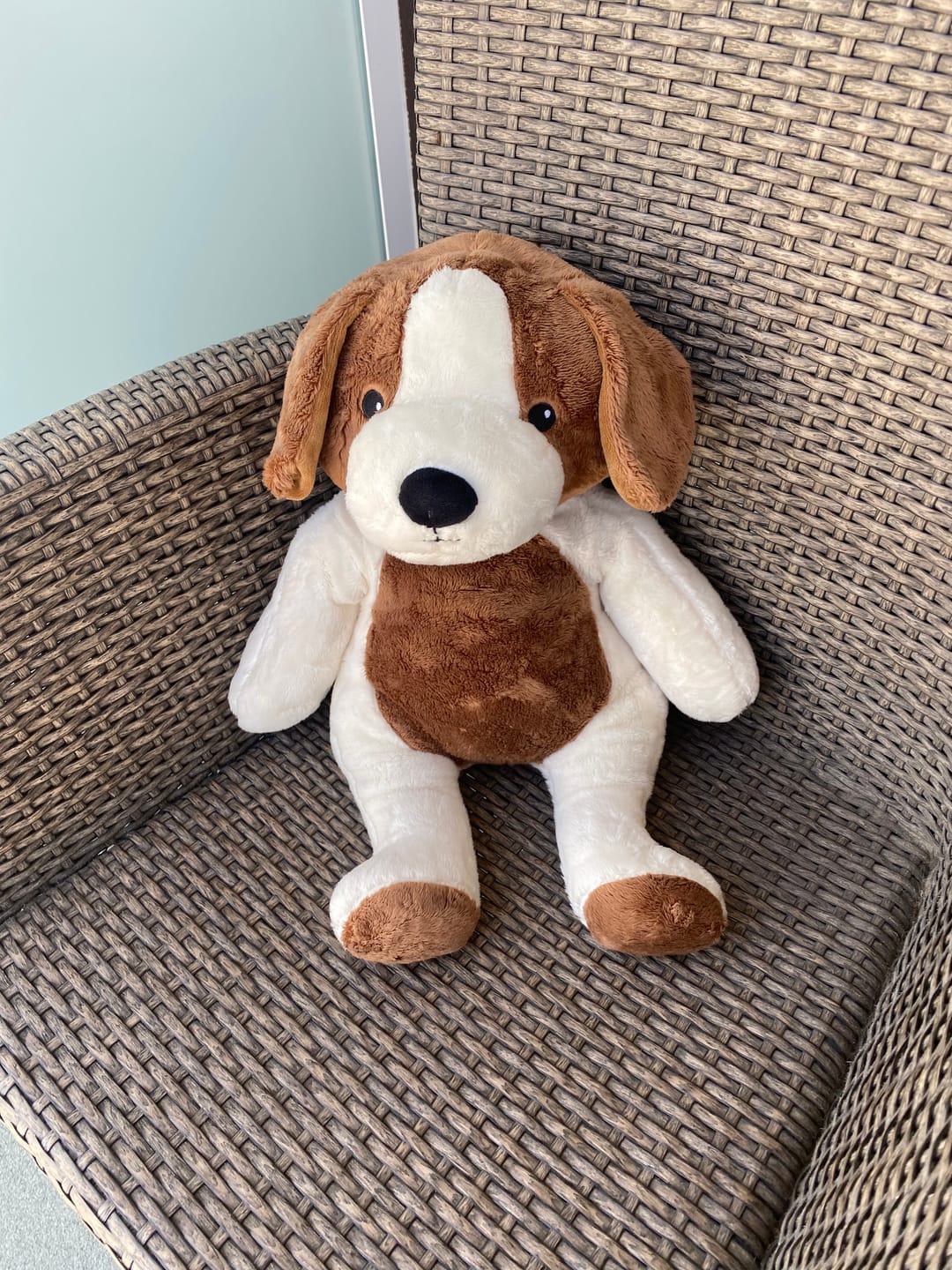 Customer photo review of Lotgenootje Koala 2kg
