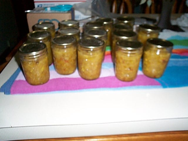 Customer photo review of Bulk Regular Mouth Canning Lids – 60 Pack