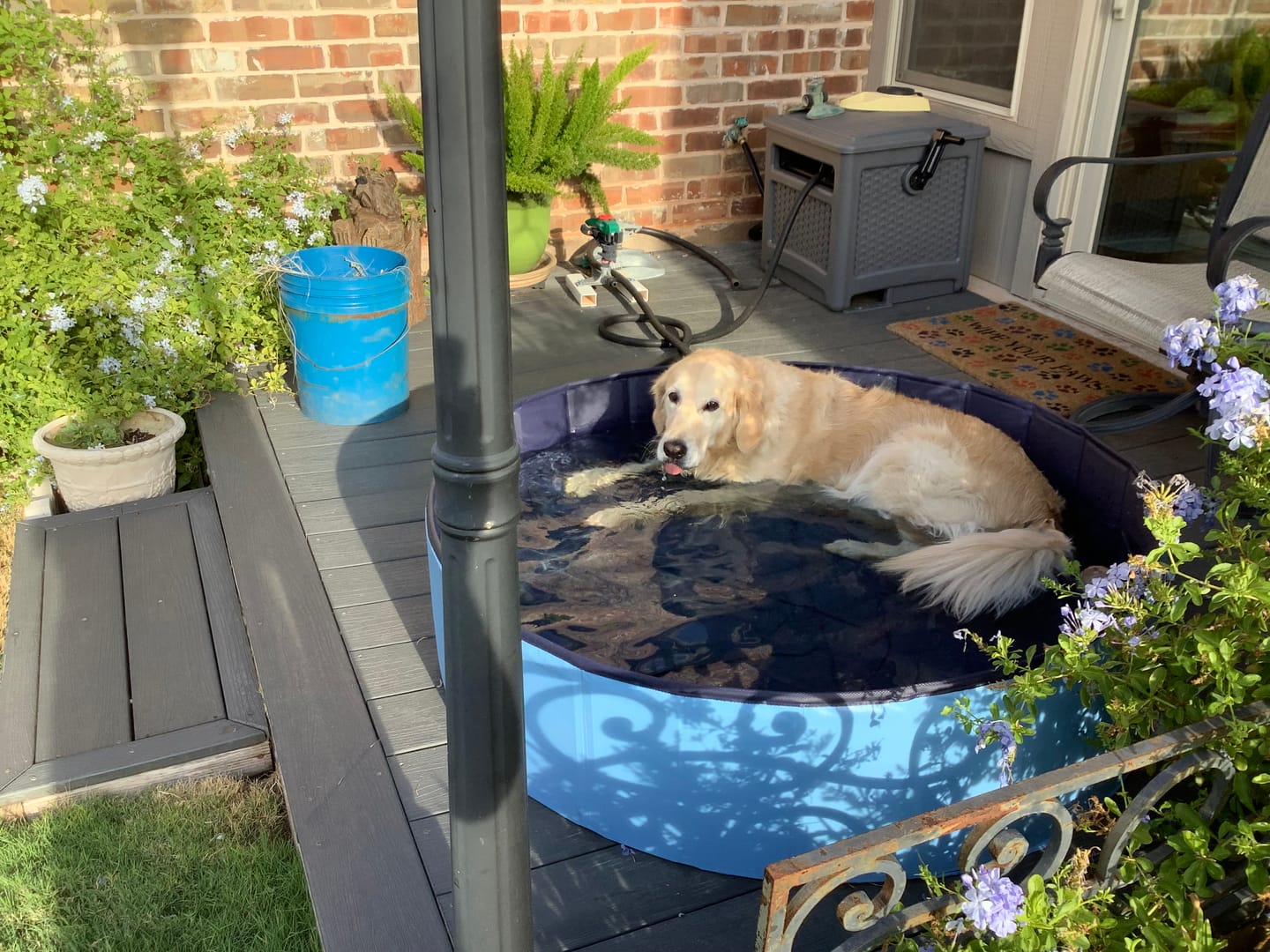 Customer photo review of Team K9® Foldable Dog Pool