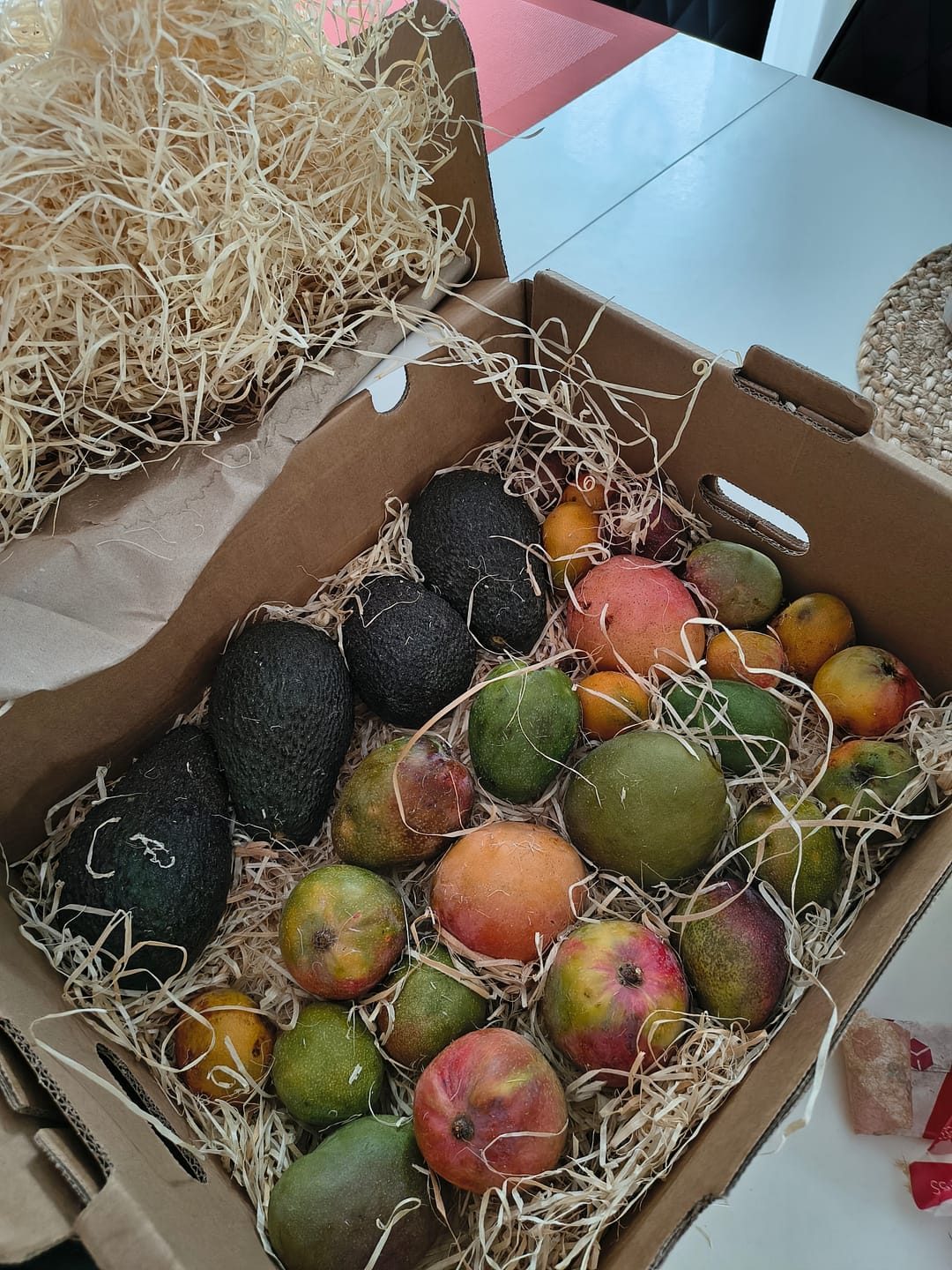 Customer photo review of Avocado Hass 15 Monate baumgereift von Julian