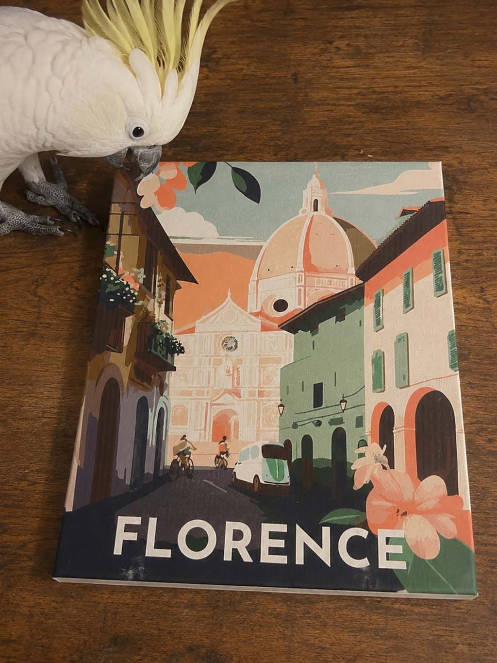 Customer photo review of Affiche Vintage Florence