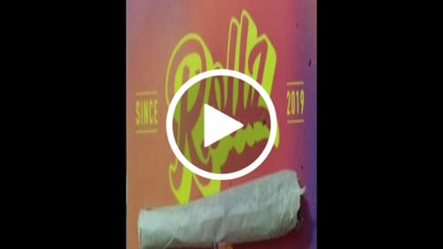 Customer video review of THC-A Flower White Russian