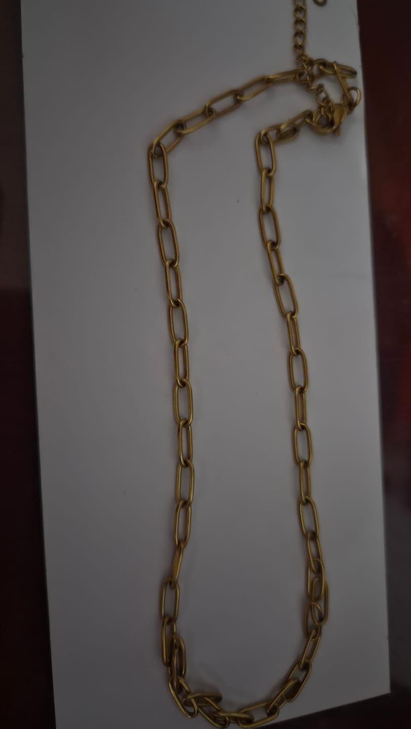Customer photo review of Collar Momo