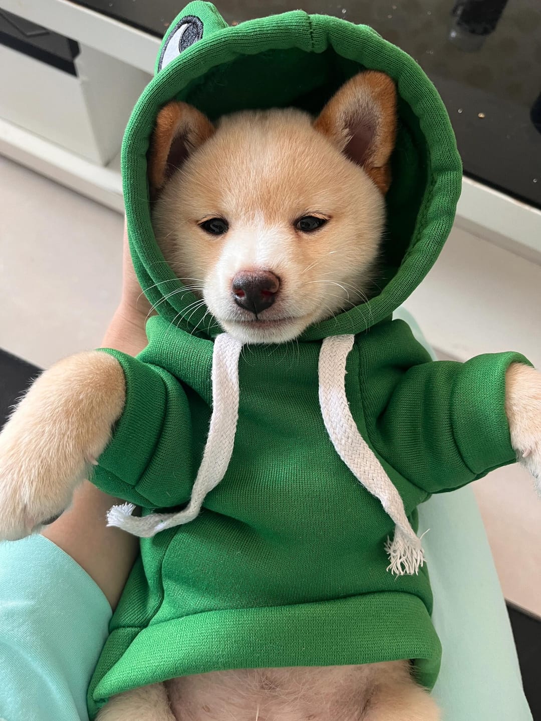 Customer photo review of Frog Hoodie Fleece Sweater