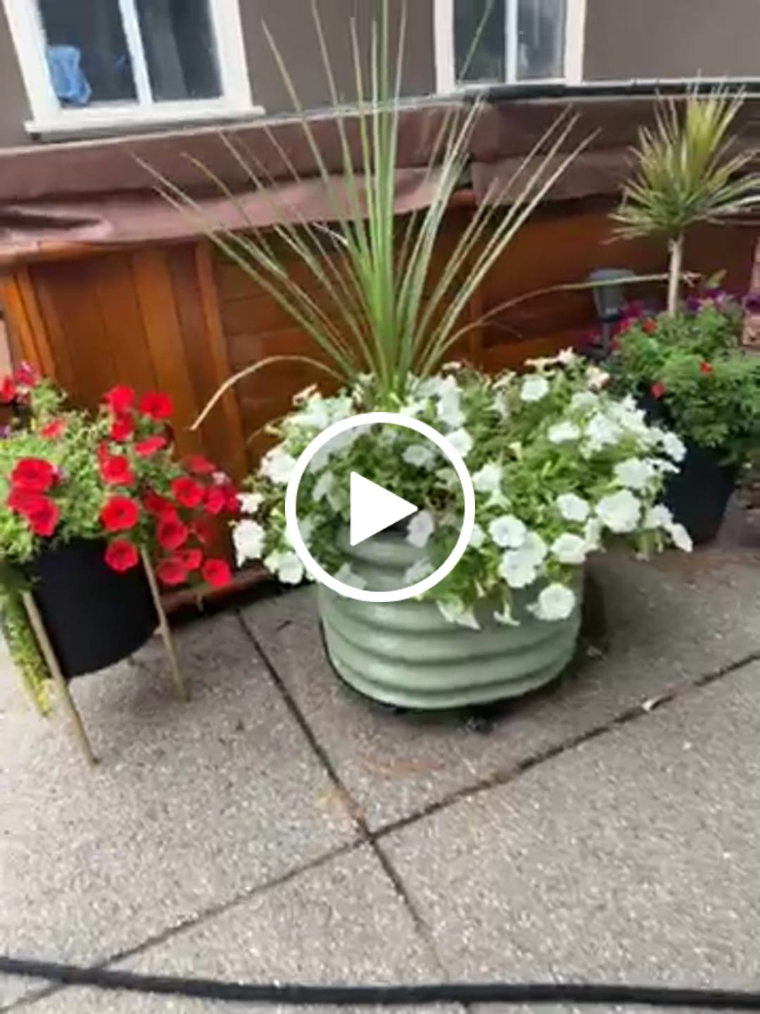 Customer video review of 17" Tall Rolling Planter