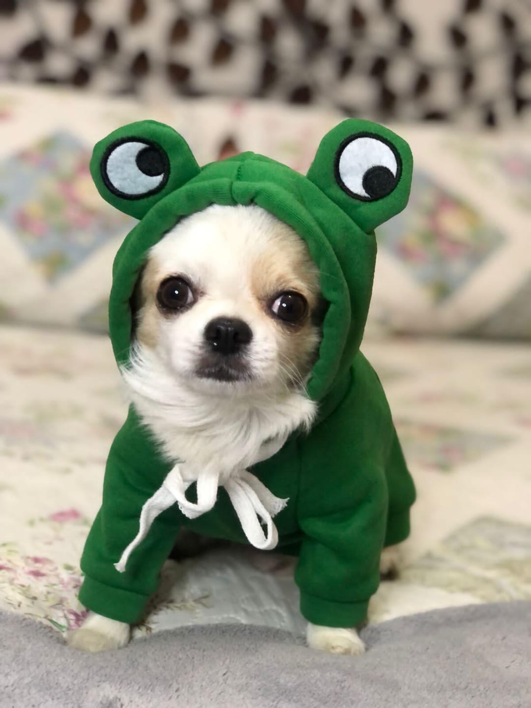 Customer photo review of Frog Hoodie Fleece Sweater
