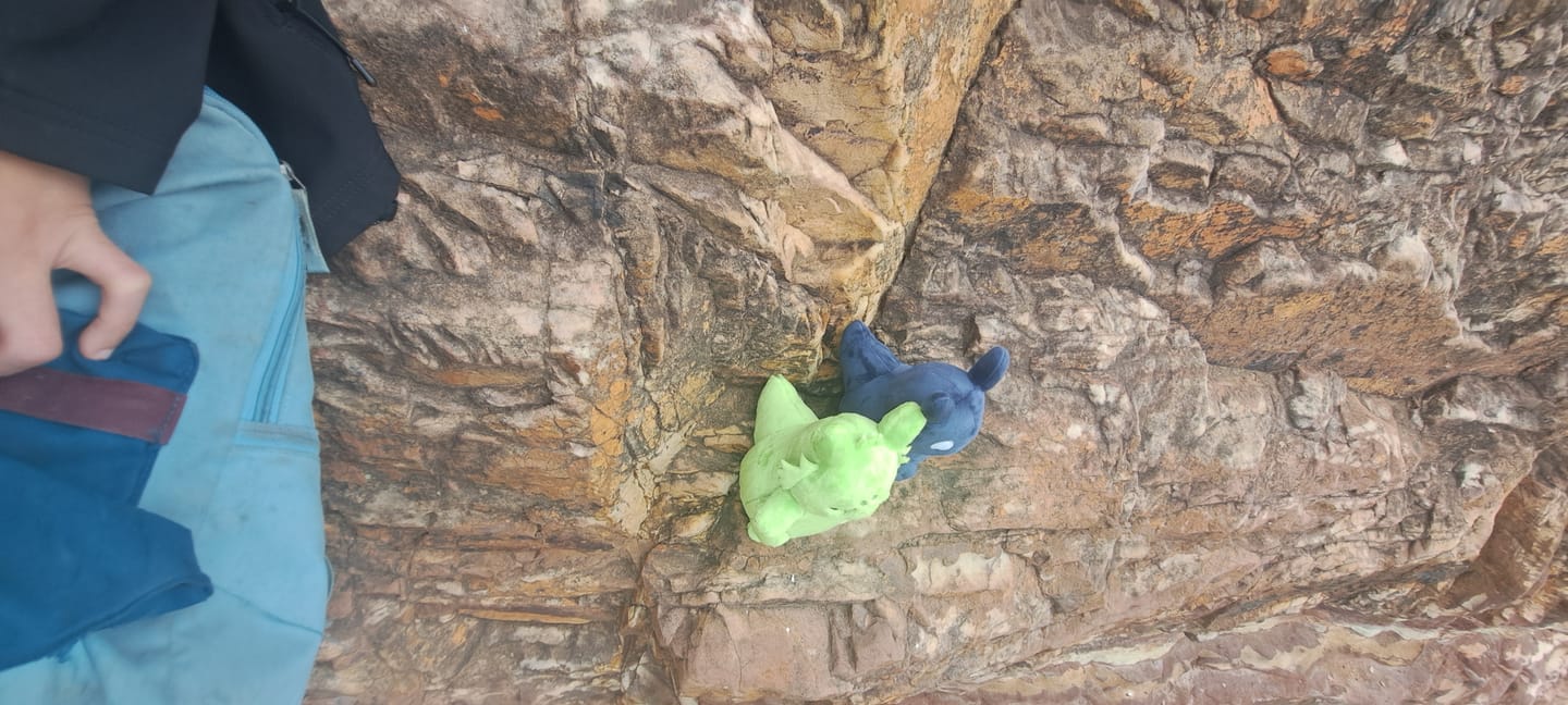 Customer photo review of Rain World - Saint Slugpup Plush