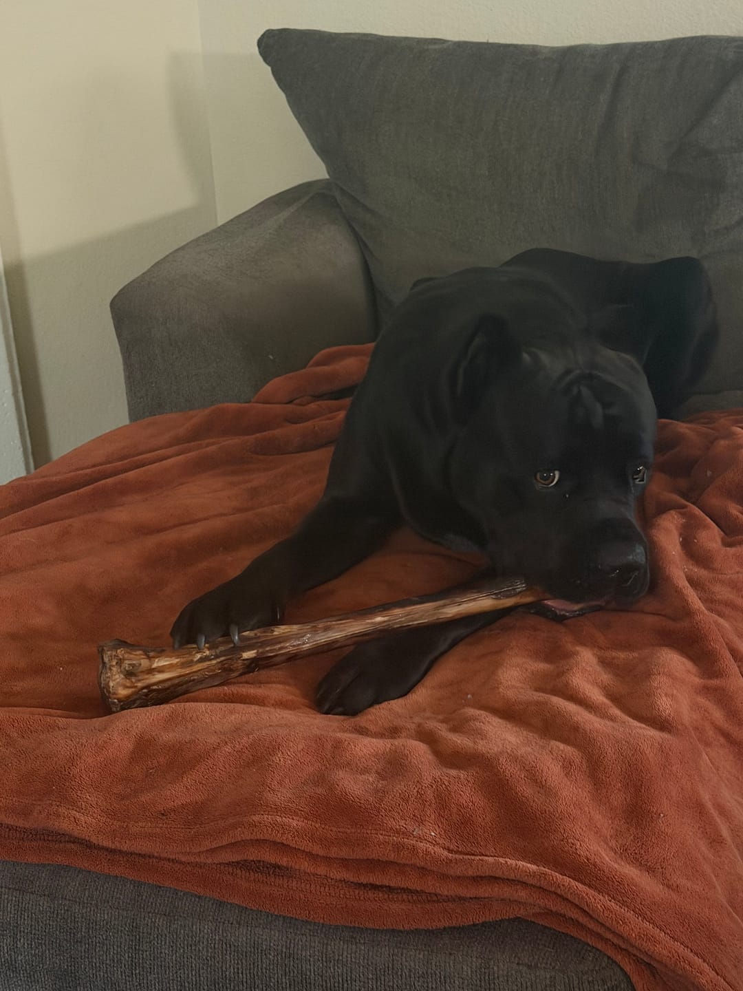 Customer photo review of Mystery Gift