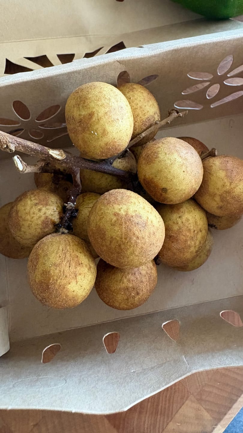 Customer photo review of "Heirloom" (Large), Mixed Fruit and Veggie
