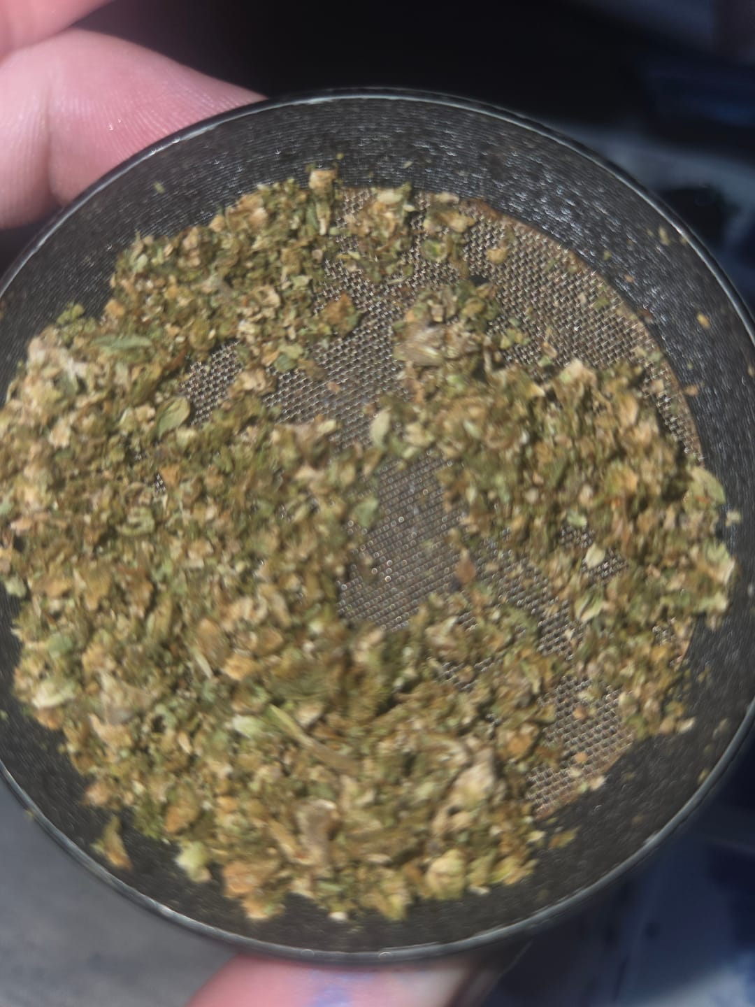 Customer photo review of Blackout Berries THCA Flower Ounce (28g)