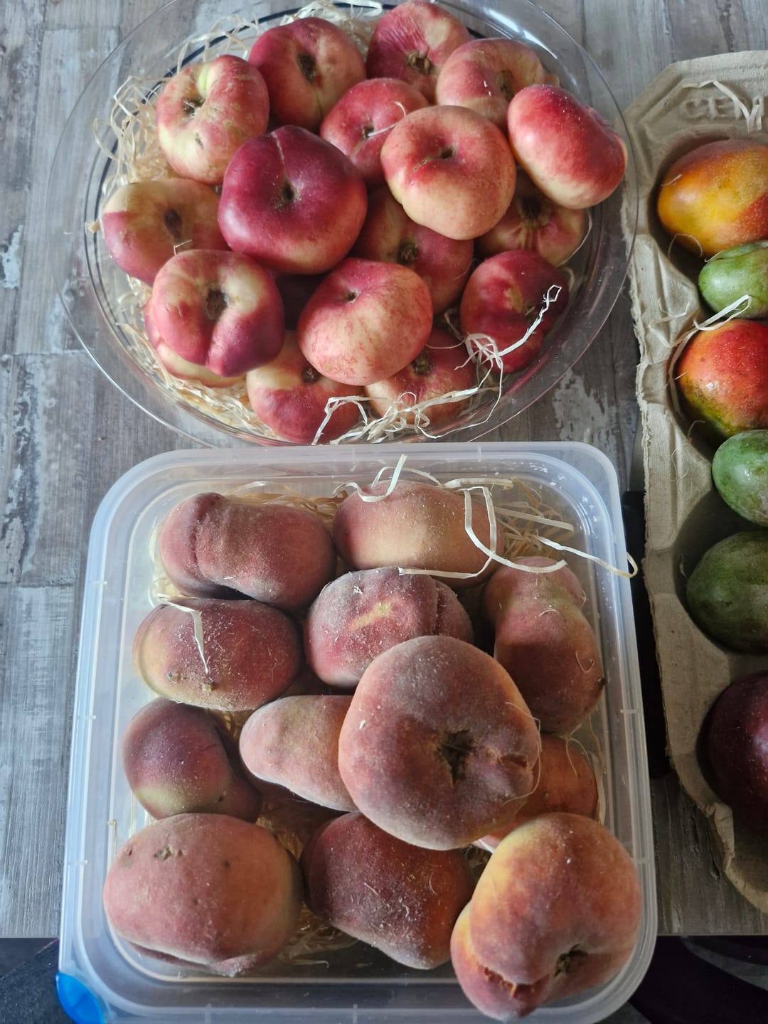Customer photo review of Weinbergpfirsiche & Tellernektarinen Bio von Jose
