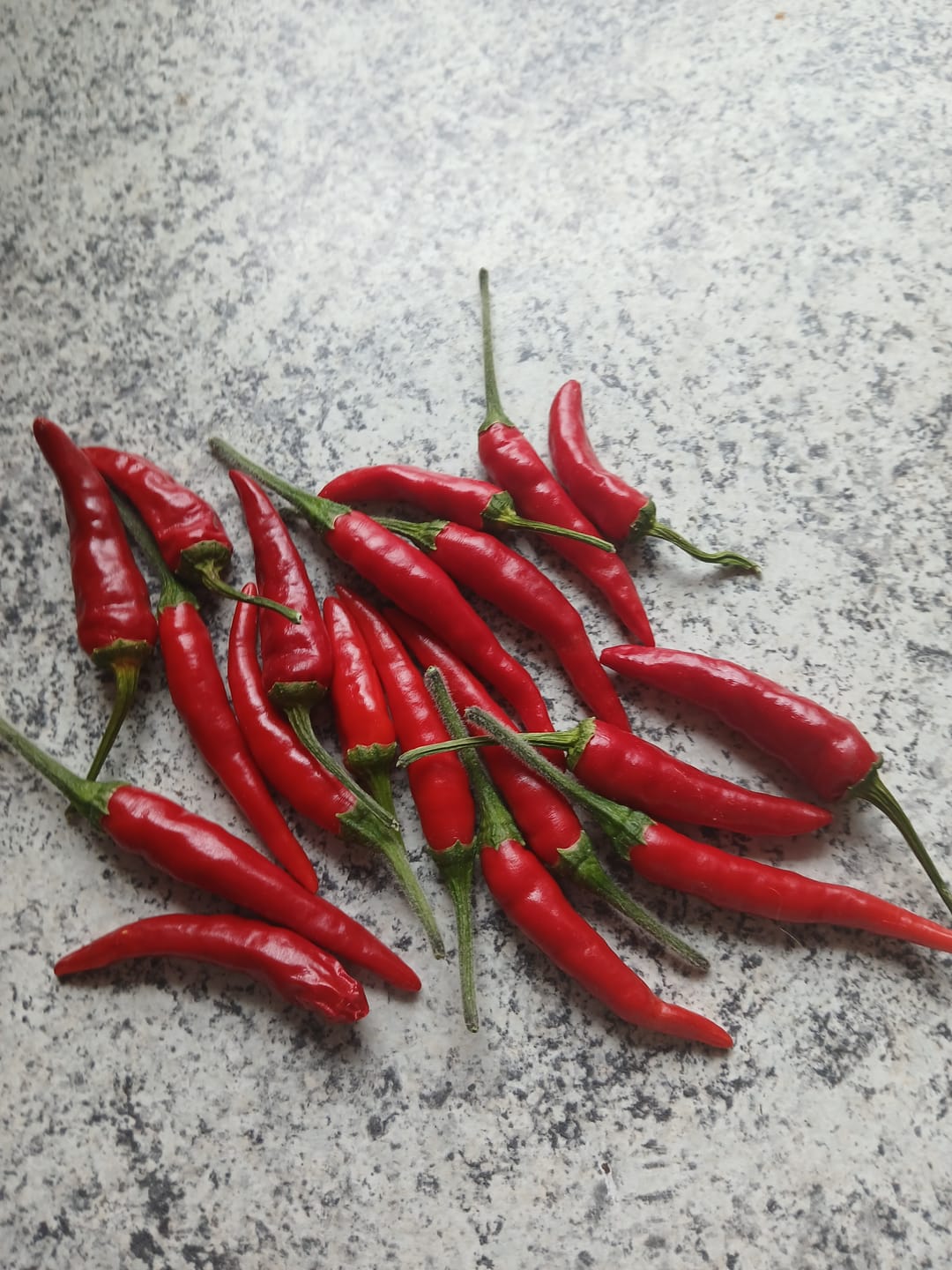 Customer photo review of FRISCHE JALAPENO ROT 200G