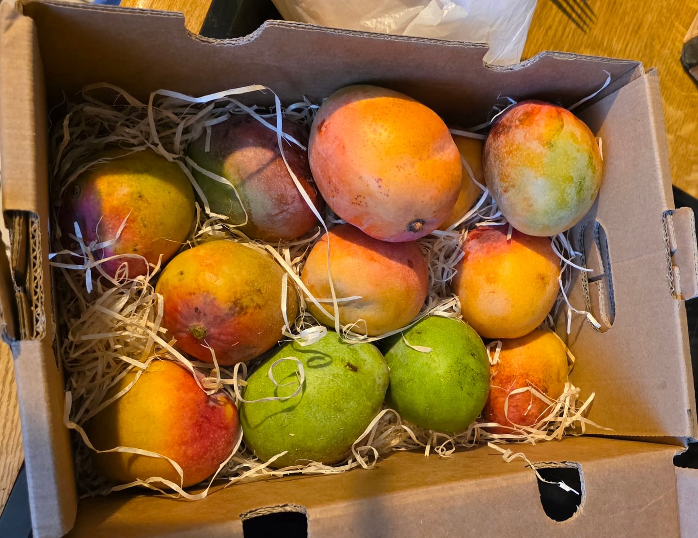 Customer photo review of Mini-Mango Tropigold von Antonio Aktionspreis %